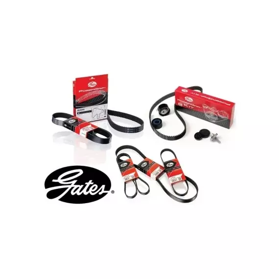 Ремень ручейковый GATES 6PK743 /865310669/ AUDI A2/Skoda Fabia 1.4 99- - Gates арт. 6PK743
